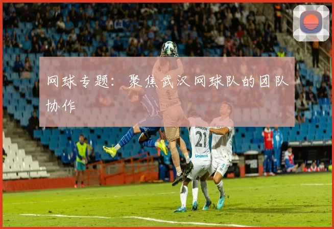 网球专题：聚焦武汉网球队的团队协作