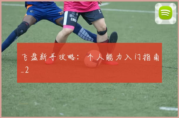 飞盘新手攻略：个人能力入门指南_2