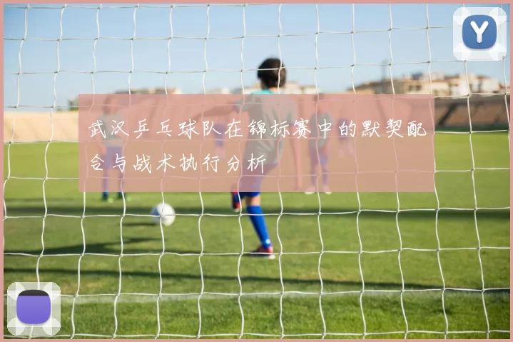 武汉乒乓球队在锦标赛中的默契配合与战术执行分析