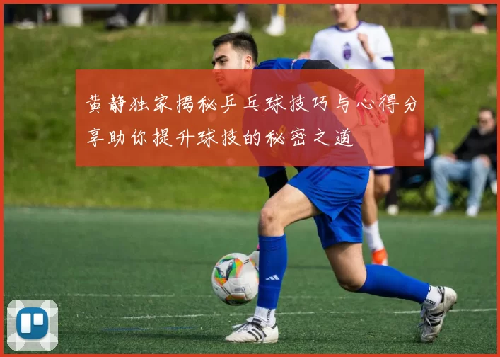 黄静独家揭秘乒乓球技巧与心得分享助你提升球技的秘密之道