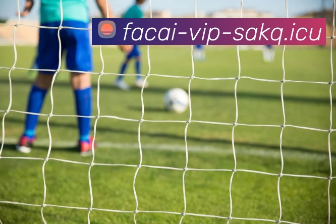 MK体育品牌故事