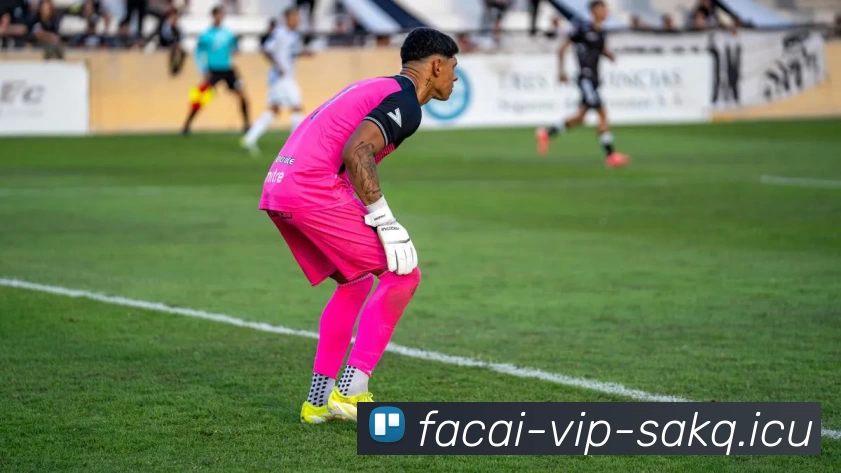 MK体育服务体系